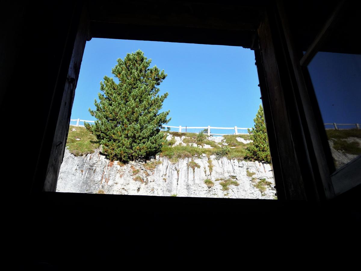 Spaces Hotel San Vigilio Di Marebbe Bagian luar foto
